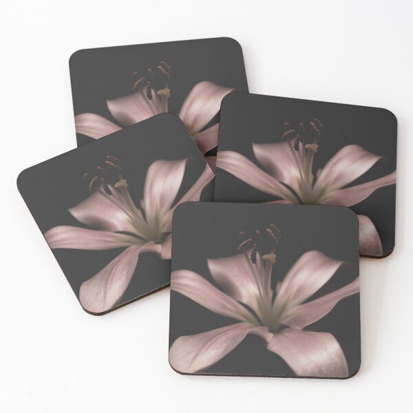 Item preview, Pink Lily on a Black Background - Garden designed and sold by Lisa Thomas.