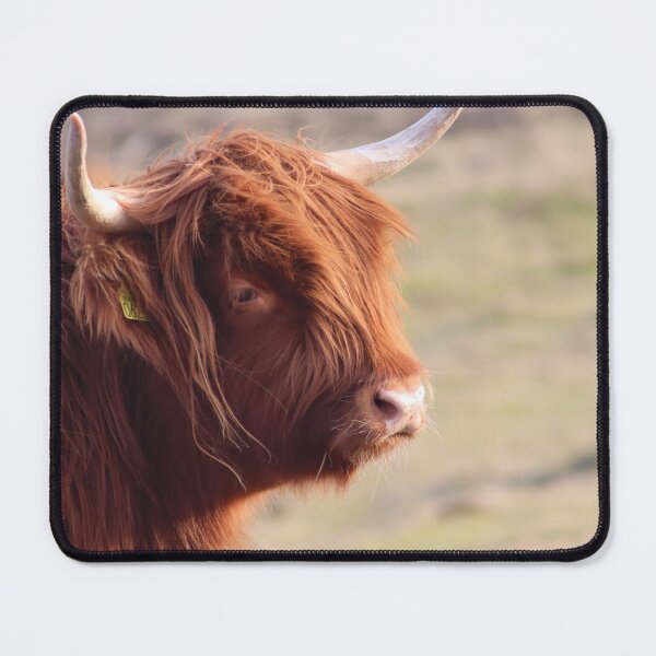 Item preview, Highlander Cow designed and sold by MvMeer.