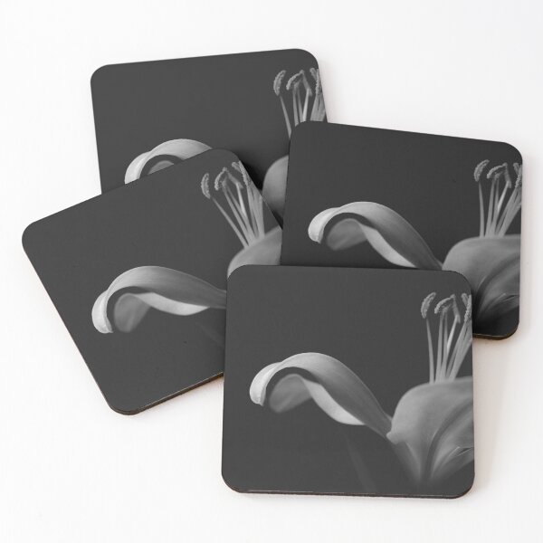Item preview, Black and White Photograph of a Lily on a Black Background - Garden designed and sold by Lisa Thomas.