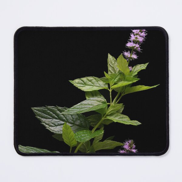 Item preview, Mint Leaves designed and sold by attrill.