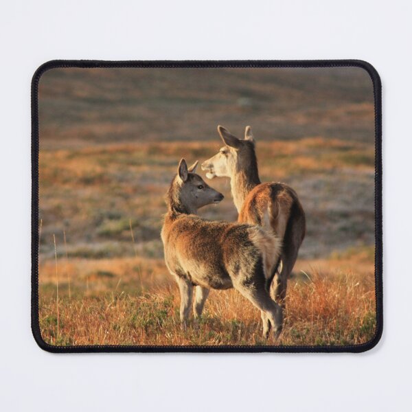 Item preview, Red Deer designed and sold by beavo.