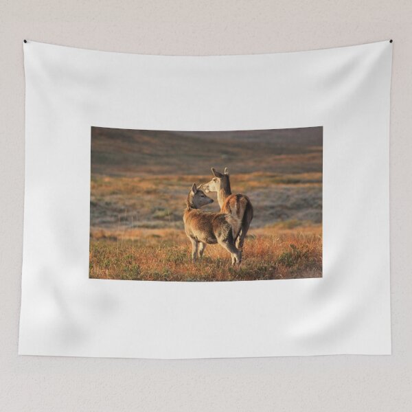 Item preview, Red Deer  designed and sold by beavo.