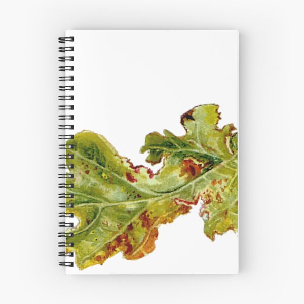 Item preview,   Oak leaf, Fall designed and sold by ikon-olga.