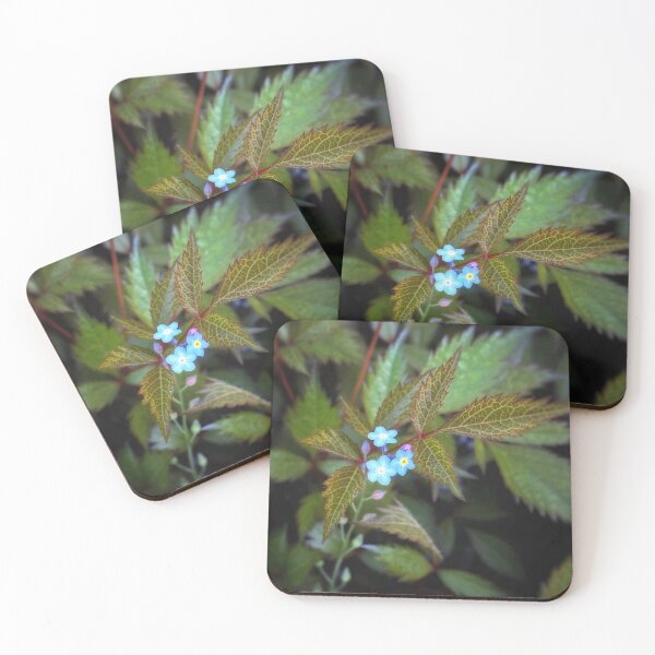 Item preview, Forget Me Not Flowers designed and sold by NearScapes.