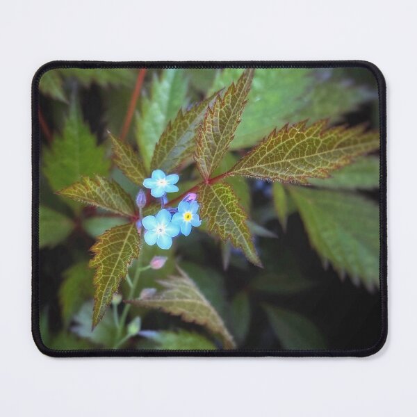 Item preview, Forget Me Not Flowers designed and sold by NearScapes.