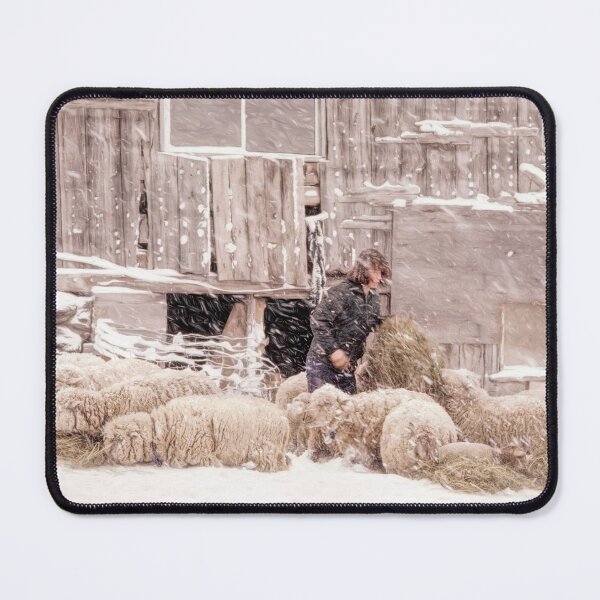 Item preview, Feeding Sheep. Jericho, VT designed and sold by George Robinson.