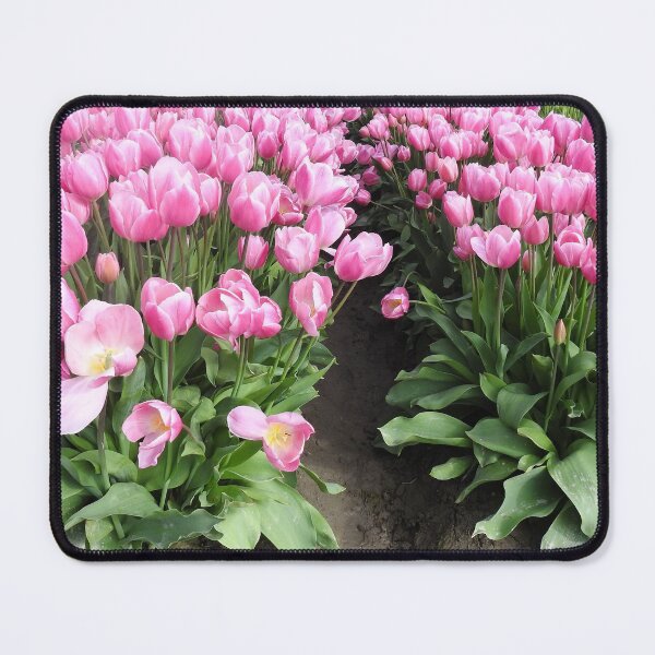 Item preview, Flowers, pink tulips, Skagit Valley, Washington State designed and sold by Sandra O'Toole.