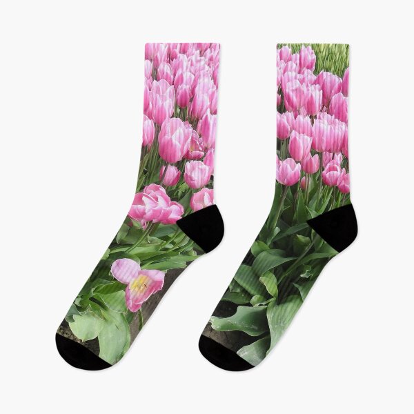 Item preview, Flowers, pink tulips, Skagit Valley, Washington State designed and sold by Sandra O'Toole.