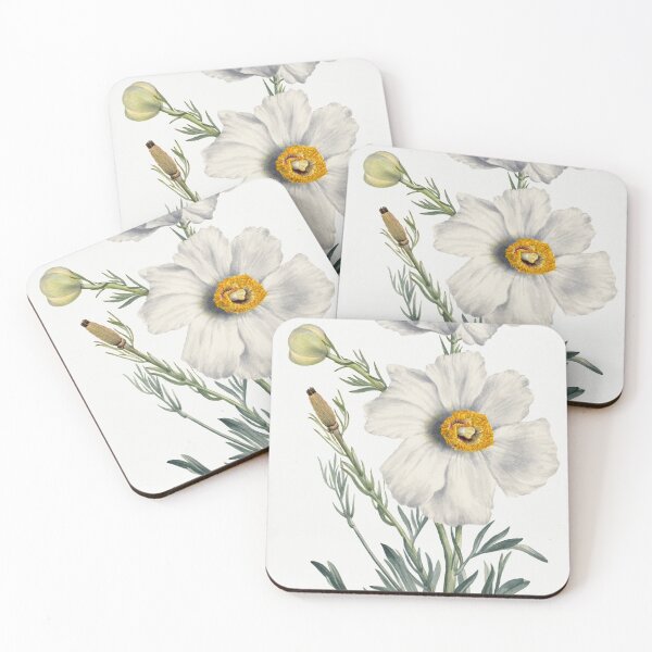 Item preview, White Matilija Poppy, By Mary Vaux Walcott designed and sold by Yeldiz.