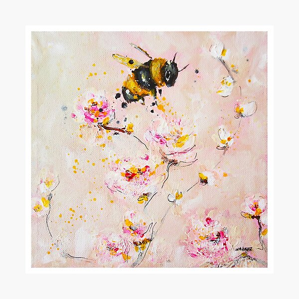 Bee Art Photographic Prints Redbubble