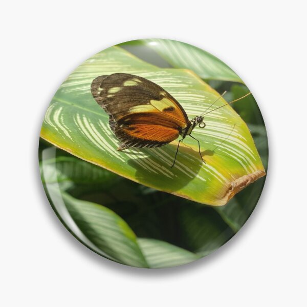 Item preview, Butterfly on Green Leaf designed and sold by Views4Days.