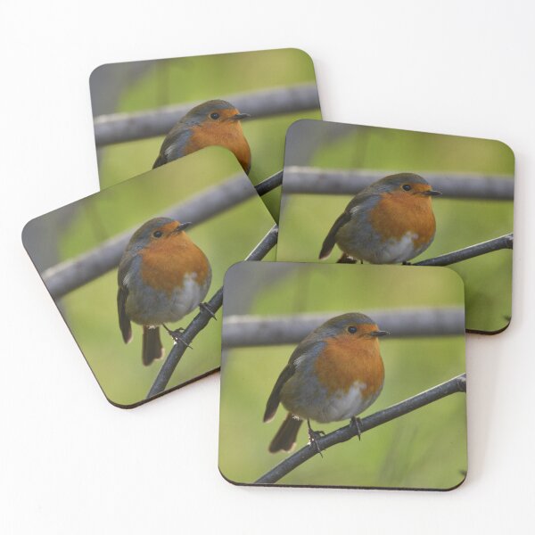 Item preview, Friendly Robin in The Woods designed and sold by ClaireChown.