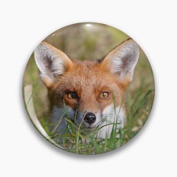 Item preview, Smiley Happy Fox designed and sold by ClaireChown.
