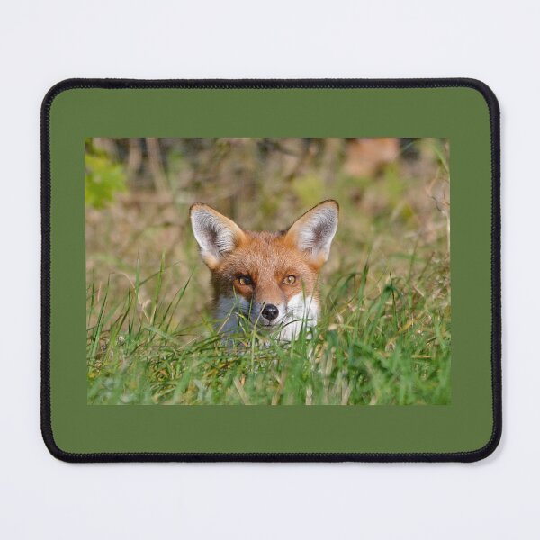 Item preview, Smiley Happy Fox designed and sold by ClaireChown.