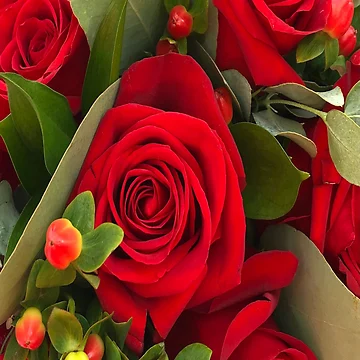 Artwork thumbnail, Red Roses by Views4Days