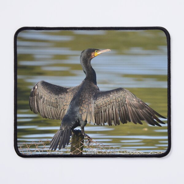 Item preview, Wing Drying Cormorant designed and sold by ClaireChown.