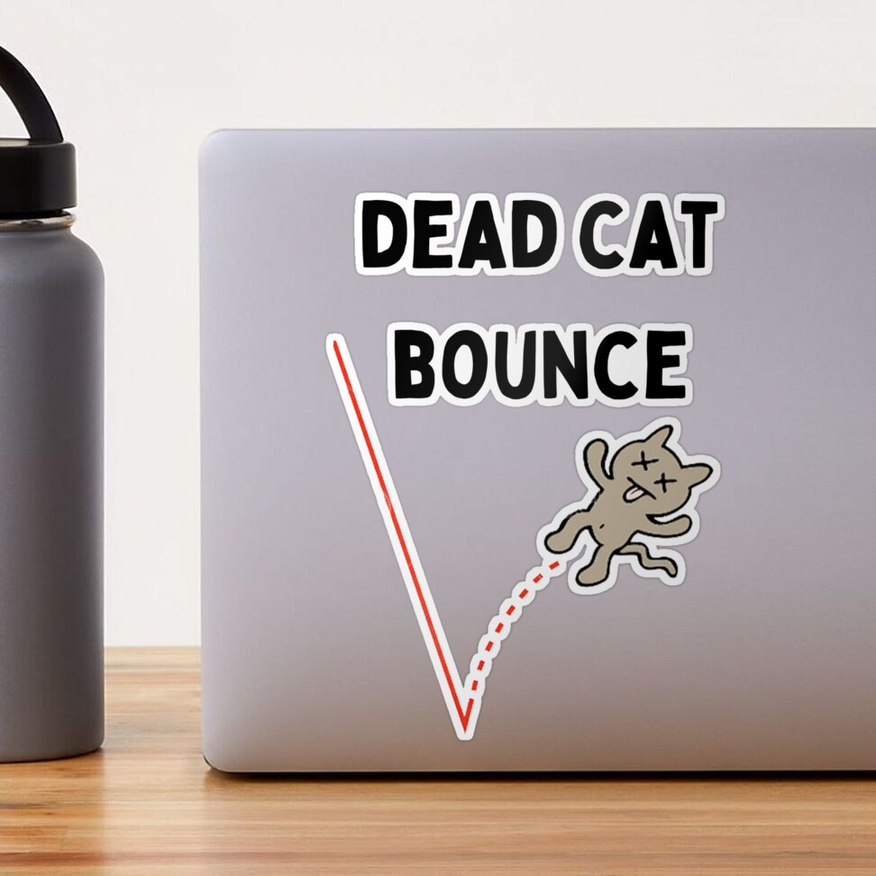 Dead Cat Bounce