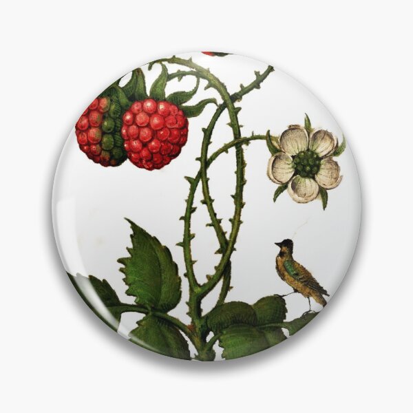Item preview, bird feasting on juicy berries.  designed and sold by mrtom414.