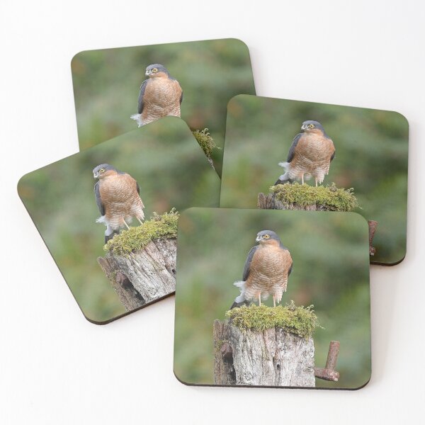 Item preview, Sparrowhawk designed and sold by Paul Crabtree.