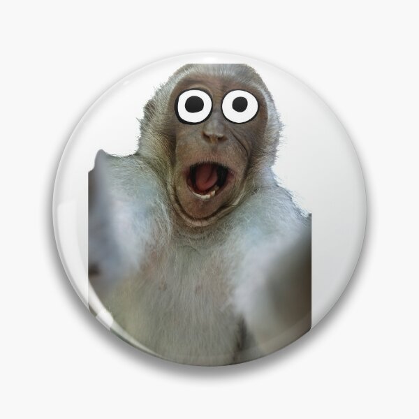 Funny Monkey Selfie of a shocked monkey up to mischief  Art Board Print  for Sale by haRexia