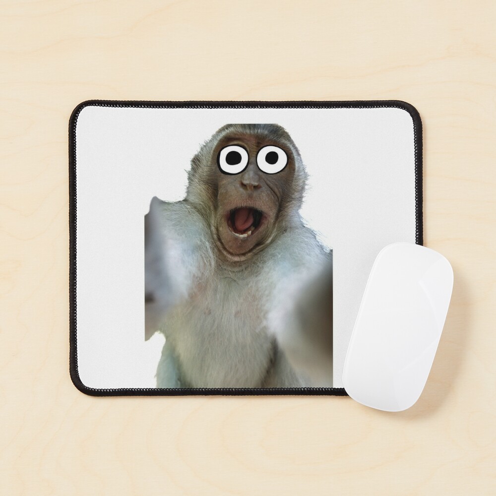 Funny Monkey Selfie of a shocked monkey up to mischief 