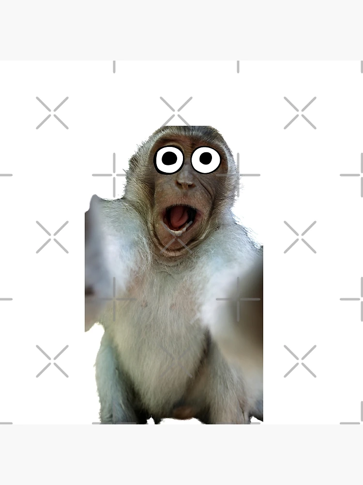 Monkey Selfie: Image Gallery (List View)