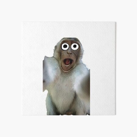 Meme Monkey Art Board Prints for Sale