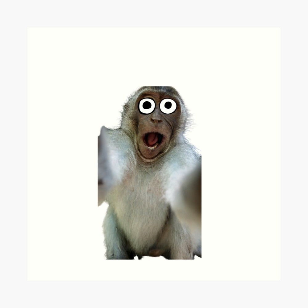 Funny Monkey Selfie of a shocked monkey up to mischief 