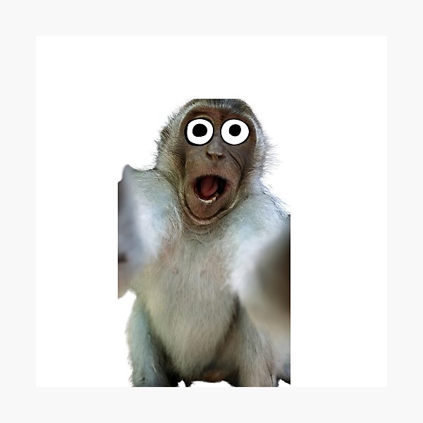 Monkey meme hi-res stock photography and images - Alamy