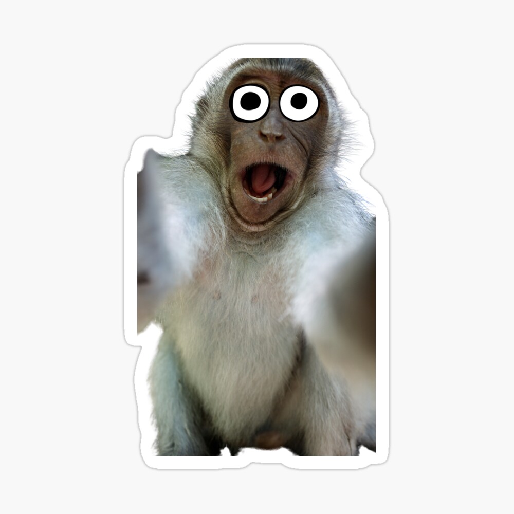 Funny Monkey Selfie of a shocked monkey up to mischief Funny Monkey Selfie of a shocked monkey up to mischief