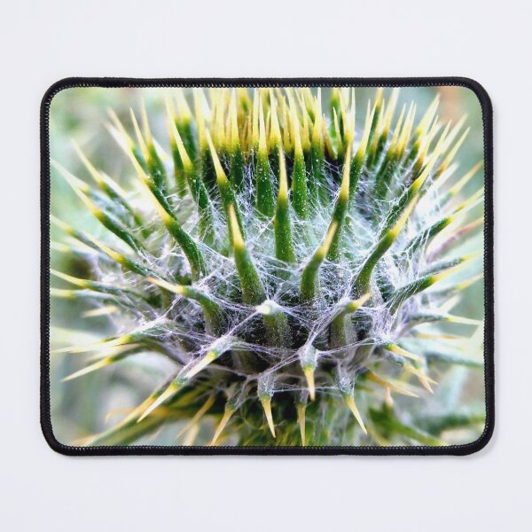 Item preview, young thistle designed and sold by angel1.