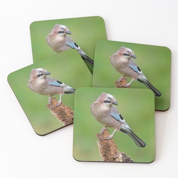Item preview, The Jay designed and sold by Paul Crabtree.