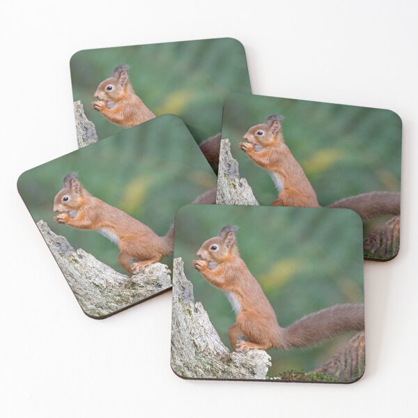 Item preview, Red Squirrel designed and sold by Paul Crabtree.