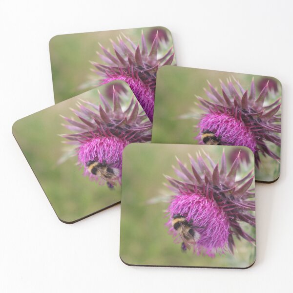 Item preview, Bee on a thistle designed and sold by MvMeer.