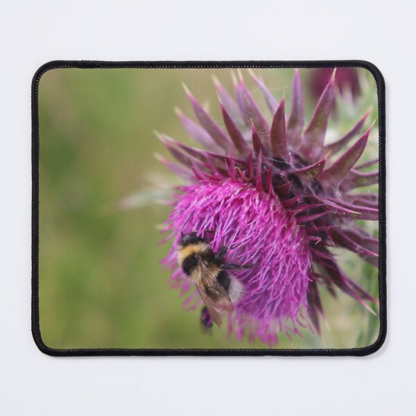 Item preview, Bee on a thistle designed and sold by MvMeer.
