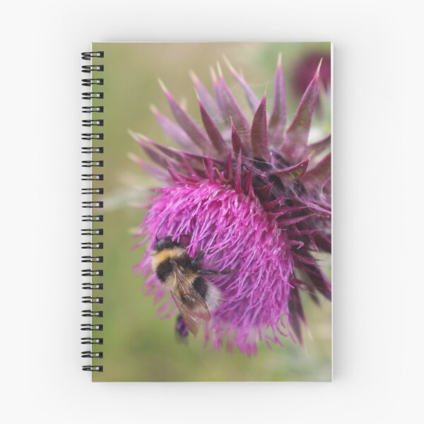 Item preview, Bee on a thistle designed and sold by MvMeer.