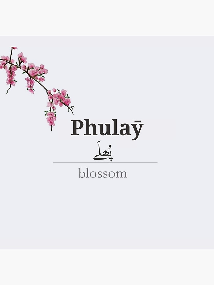 "Phulaȳ, Kashmiri word meaning blossom or bloom" Sticker by Fatimah