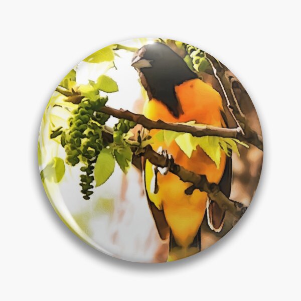 Artikelvorschau, Baltimore Oriole Digital Oil Painting entworfen und verkauft von Zurickdesigns.