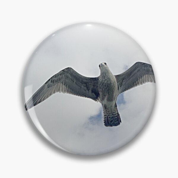 Item preview, The Brighton Gull (Brighton adventure)  designed and sold by Ben Hattrell.