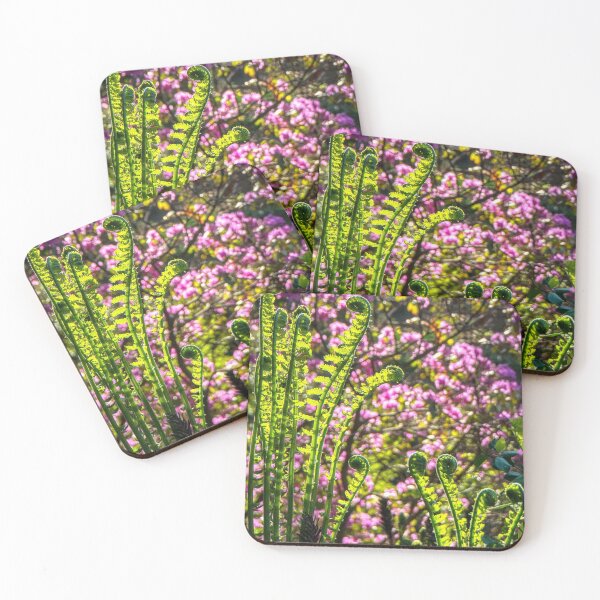 Item preview, Ferns Unfurl Infront of a Purple Rhododendron Bush designed and sold by wildvalecreate.