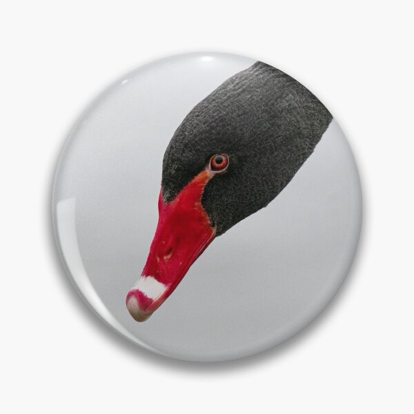 Item preview, Divine Black Swan  designed and sold by HRHWildlife101.