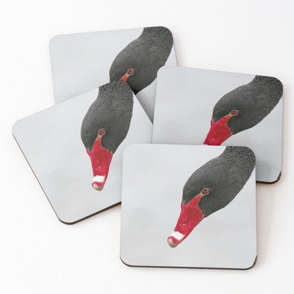 Item preview, Divine Black Swan  designed and sold by HRHWildlife101.
