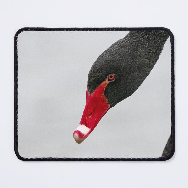 Item preview, Divine Black Swan designed and sold by HRHWildlife101.