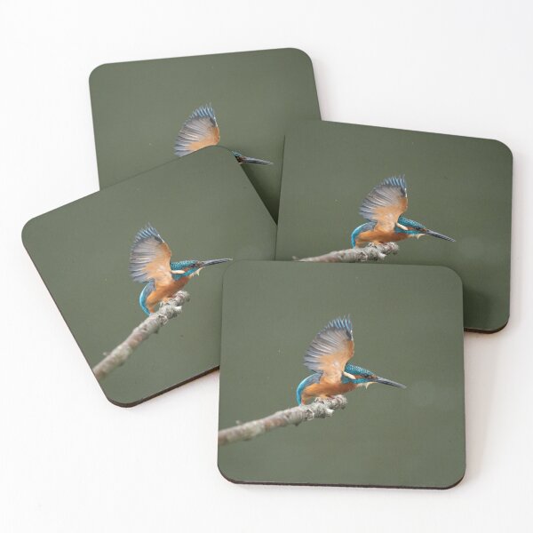 Item preview, No introductions needed designed and sold by HRHWildlife101.