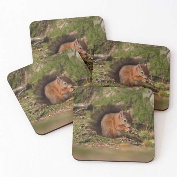 Item preview, Brunch time Red Squirrel style designed and sold by HRHWildlife101.