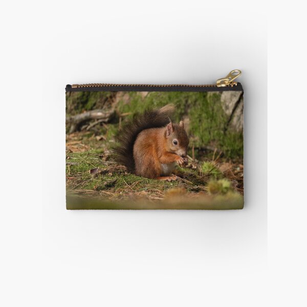 Item preview, Brunch time Red Squirrel style designed and sold by HRHWildlife101.