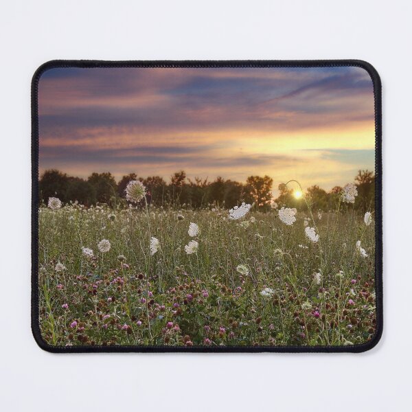 Item preview, Sunset White Flower Field designed and sold by Offshoots12.