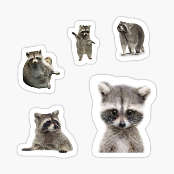 Item preview, Racoon sticker pack designed and sold by starseedgems.