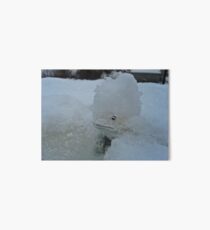 SNOW BOUND LITTLE FROG Art Board