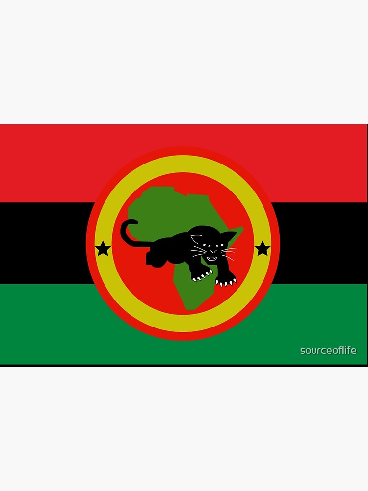 black panther party flag